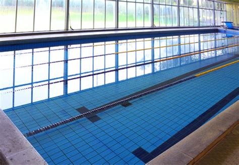 nuoto club bassano|Nuoto Club Bassano ‍♀️ (@nuotoclubbassano)